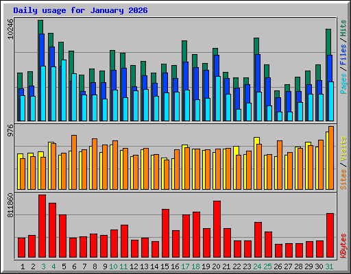 Daily usage for January 2026