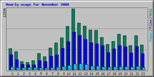 Hourly usage for November 2008