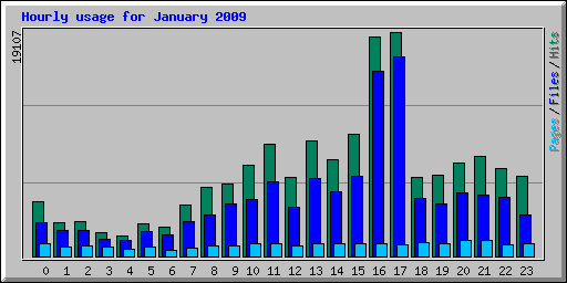 Hourly usage for January 2009
