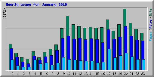 Hourly usage for January 2010