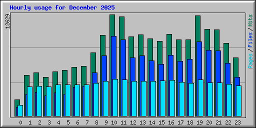 Hourly usage for December 2025