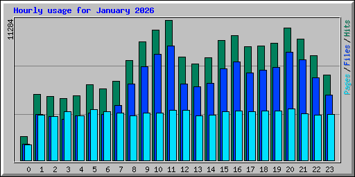 Hourly usage for January 2026