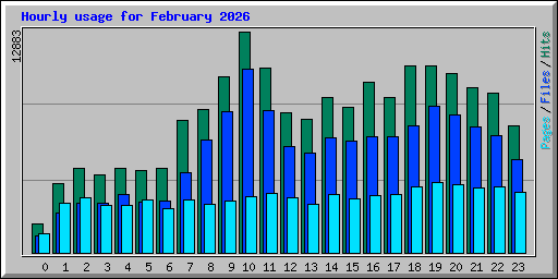 Hourly usage for February 2026