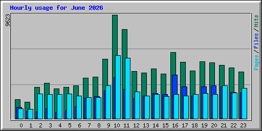 Hourly usage for June 2026