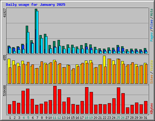 Daily usage for January 2025