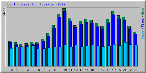 Hourly usage for November 2022