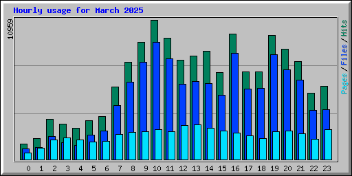 Hourly usage for March 2025