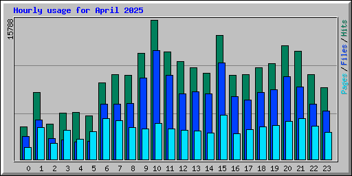 Hourly usage for April 2025
